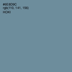 #6E8D9C - Hoki Color Image