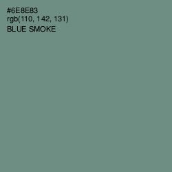 #6E8E83 - Blue Smoke Color Image