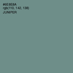 #6E8E8A - Juniper Color Image