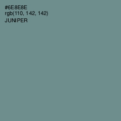 #6E8E8E - Juniper Color Image