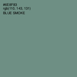 #6E8F83 - Blue Smoke Color Image