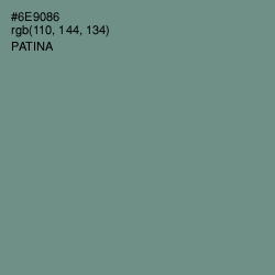 #6E9086 - Patina Color Image