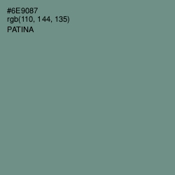 #6E9087 - Patina Color Image