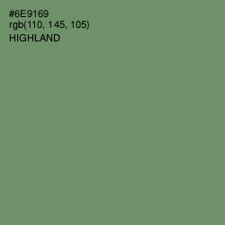 #6E9169 - Highland Color Image