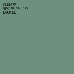 #6E917F - Laurel Color Image