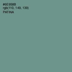 #6E958B - Patina Color Image