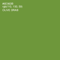 #6E963B - Olive Drab Color Image