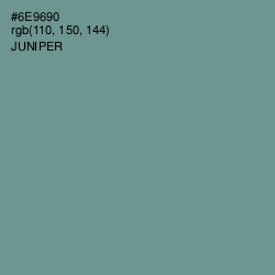 #6E9690 - Juniper Color Image