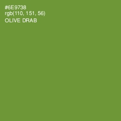 #6E9738 - Olive Drab Color Image
