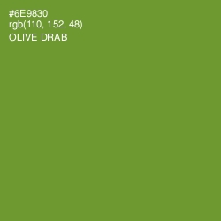 #6E9830 - Olive Drab Color Image