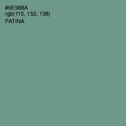 #6E988A - Patina Color Image