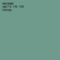 #6E9B8B - Patina Color Image