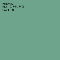 #6EA48C - Bay Leaf Color Image