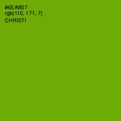 #6EAB07 - Christi Color Image