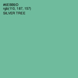 #6EBB9D - Silver Tree Color Image