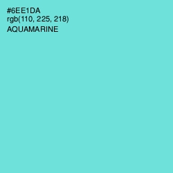 #6EE1DA - Aquamarine Color Image