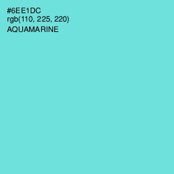 #6EE1DC - Aquamarine Color Image