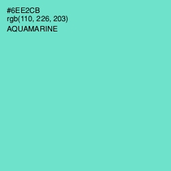 #6EE2CB - Aquamarine Color Image