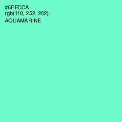 #6EFCCA - Aquamarine Color Image