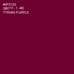 #6F0130 - Tyrian Purple Color Image