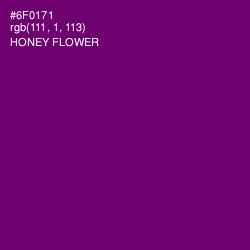 #6F0171 - Honey Flower Color Image