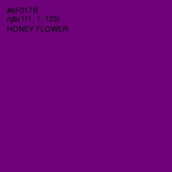 #6F017B - Honey Flower Color Image