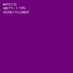 #6F017D - Honey Flower Color Image