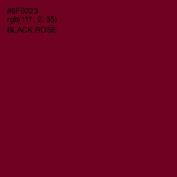 #6F0223 - Black Rose Color Image