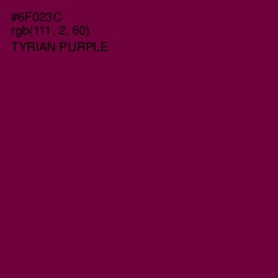 #6F023C - Tyrian Purple Color Image