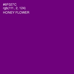 #6F027C - Honey Flower Color Image