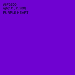 #6F02D0 - Purple Heart Color Image