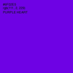 #6F02E5 - Purple Heart Color Image