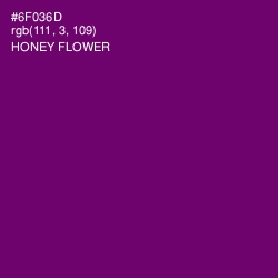 #6F036D - Honey Flower Color Image