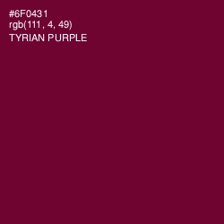#6F0431 - Tyrian Purple Color Image