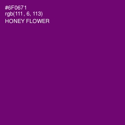 #6F0671 - Honey Flower Color Image