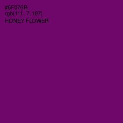 #6F076B - Honey Flower Color Image