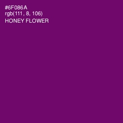 #6F086A - Honey Flower Color Image