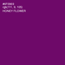 #6F0969 - Honey Flower Color Image