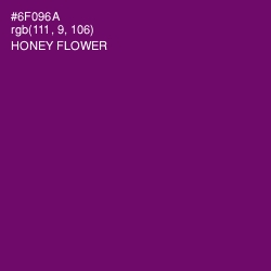 #6F096A - Honey Flower Color Image