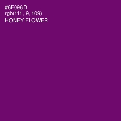 #6F096D - Honey Flower Color Image