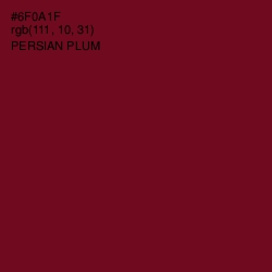 #6F0A1F - Persian Plum Color Image