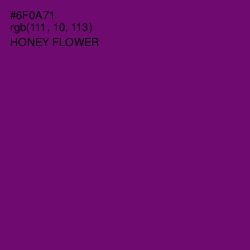 #6F0A71 - Honey Flower Color Image