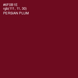 #6F0B1E - Persian Plum Color Image