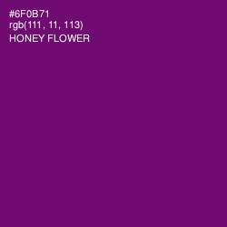 #6F0B71 - Honey Flower Color Image