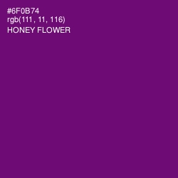 #6F0B74 - Honey Flower Color Image