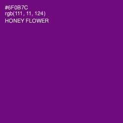 #6F0B7C - Honey Flower Color Image
