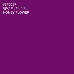 #6F0C67 - Honey Flower Color Image