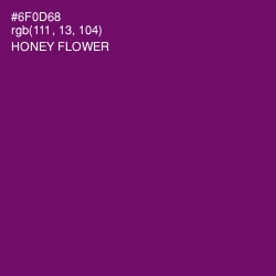#6F0D68 - Honey Flower Color Image