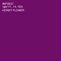 #6F0E67 - Honey Flower Color Image