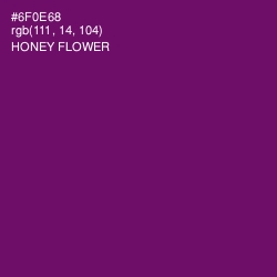 #6F0E68 - Honey Flower Color Image